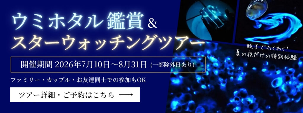 ウミホタル&スターウォッチングツアーの詳細はこちら